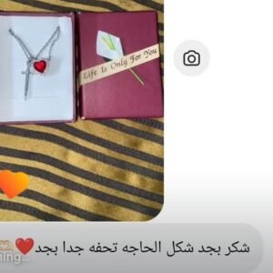 WhatsApp Image 2026-03-10 at 10.33.31 PM (2)