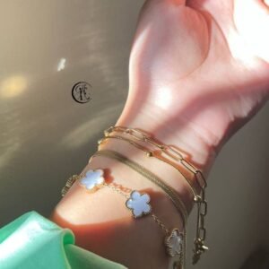 عرض 4انسيالات